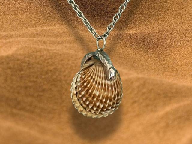 Pendentif en argent - Coquillage naturel