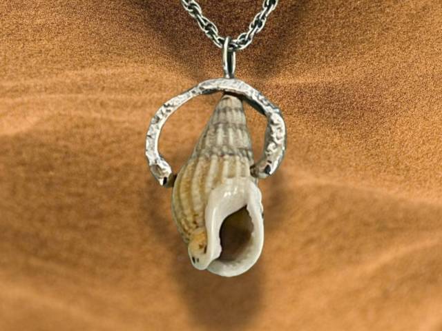 Pendentif en argent - Coquillage naturel