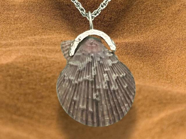 Pendentif en argent - Coquillage naturel