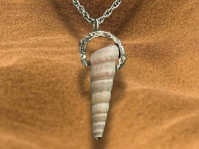 Pendentif en argent - Coquillage naturel